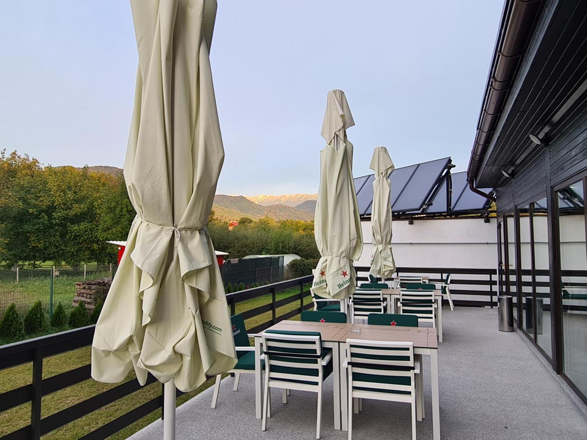 New Wolf Bran (Brasov) Exterior foto