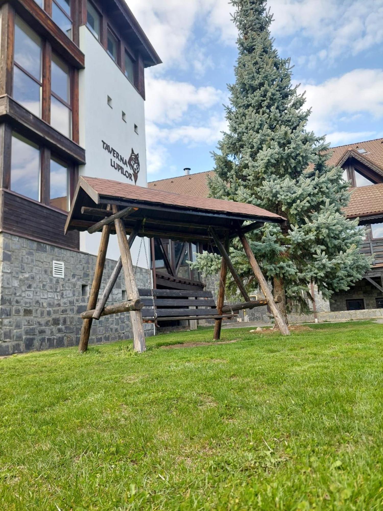 New Wolf Bran (Brasov) Exterior foto