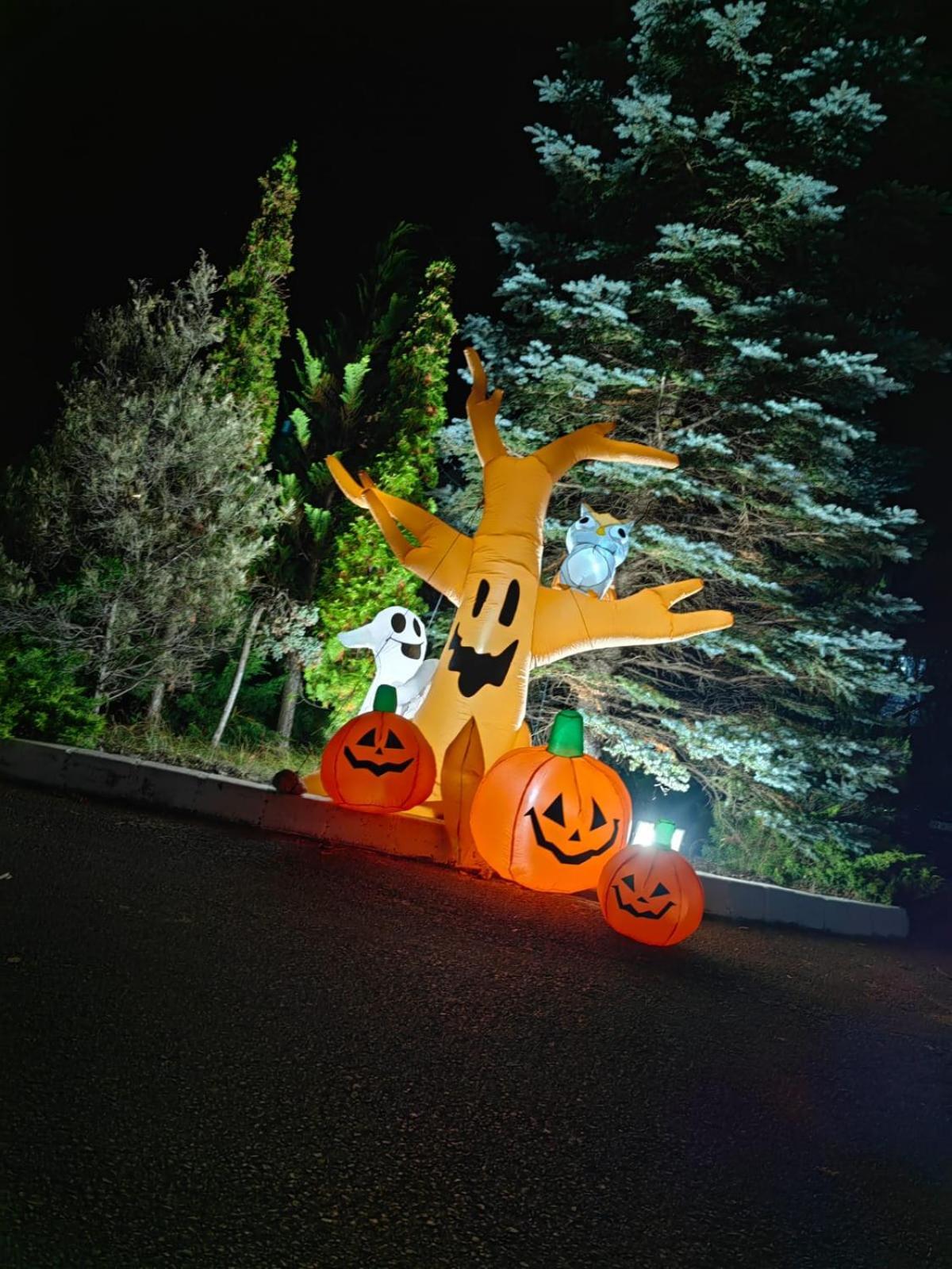 New Wolf Bran (Brasov) Exterior foto